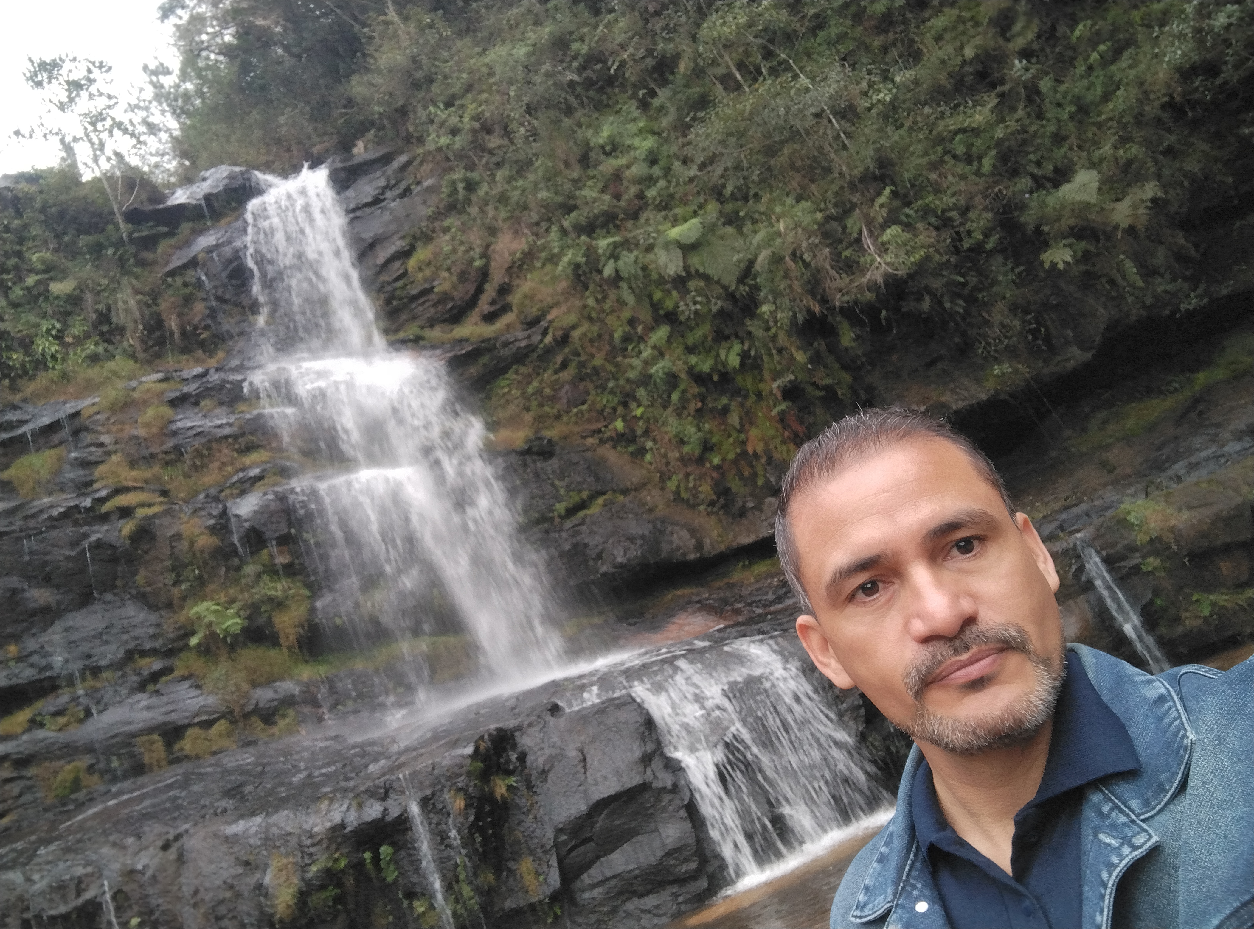 Vegetação ao redor da cachoeira